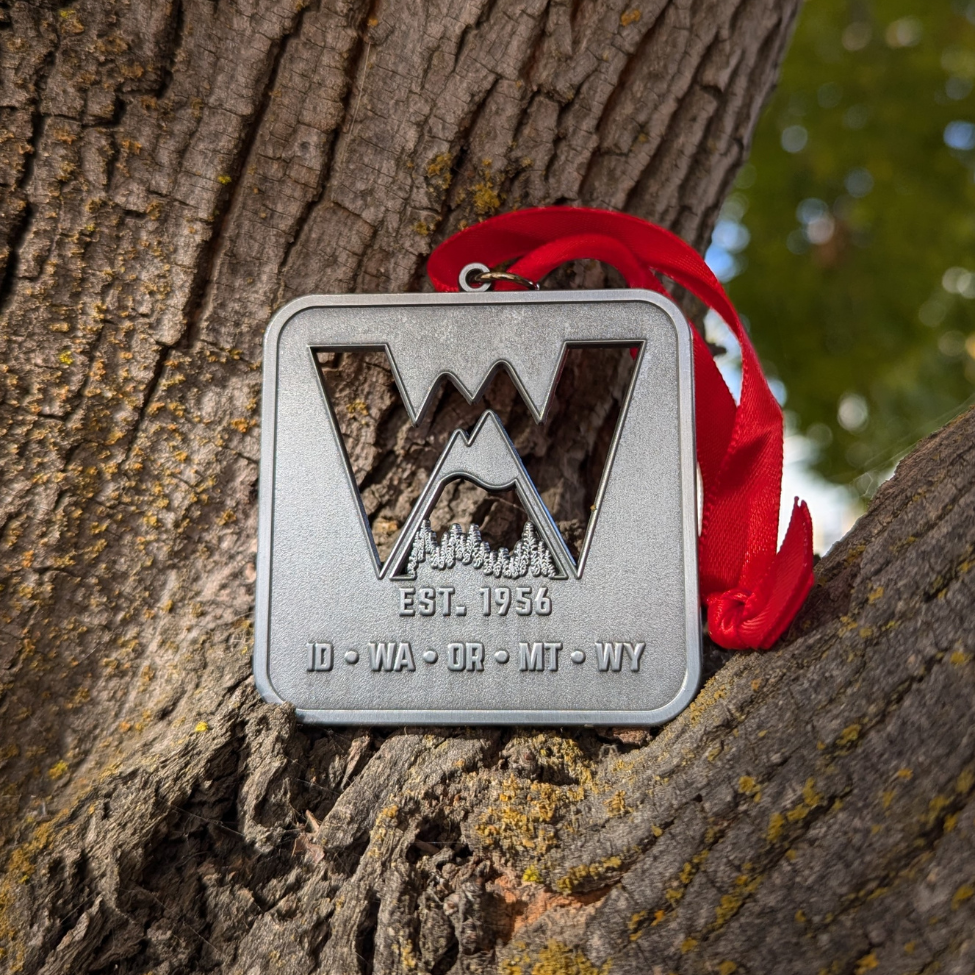 Next Gen "W" - Ornament